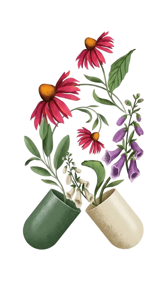 Botanical flowers growing from open capsules